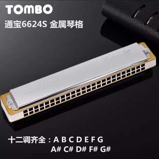 通宝TOMBO日本通宝口琴6624S珍藏款金属铜格24孔复音C调专业演奏乐器 【专业演奏级音色】#A调+豪礼