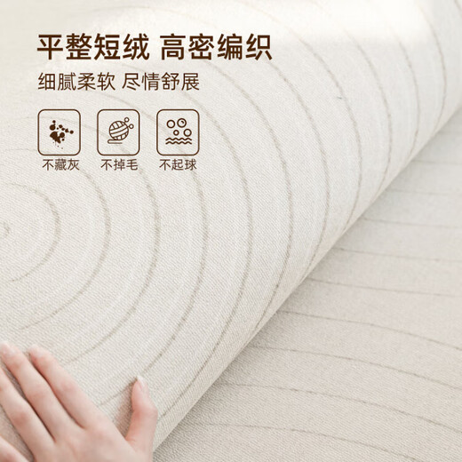 VanMbo Teppich Wohnzimmer Creme Stil 2025 NEU NO WASCHBERABEN