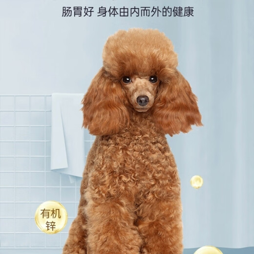 OIMG Dog Food 2.5kg Teddy Poodle Special Food for Adult Puppies General Type Natural Beautiful Hair 5Jin Jin equals 0.5kg Langshi Poodle (5Jin Jin equals 0.5kg 1 pack)