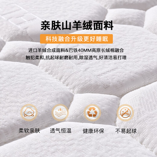 海马福宝床垫天然乳胶席梦思独立弹簧椰棕家用床垫子软硬两用可定制 偏硬护脊D款厚22cm 独立弹簧+棕 1350mm*1900mm