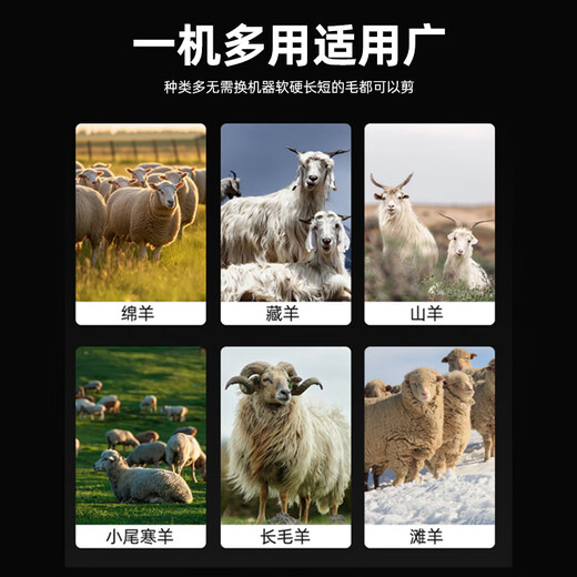 DINGNAI high-power wired dog wool shear electric clipper high-power shaver pet hair pusher wool electric clipper wool shear gold + 1 head 48V plug-in