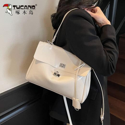 Specht Frauen Handtasche 2025 Sommer Mode einfache Umhängetasche Pendler Neue Tasche Frauen Fashion Crossbody Tasche Schwarz