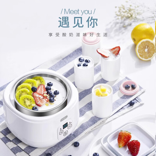 Zhexiang Deutsche Joghurtmaschine Home Automatische kleine Joghurt Fermentation integrierter Reisweinbrauen Enzym Fermentation Bakterien Natto Maschine [Deutsch Seiko] Weiße Keramik Teile Tasse