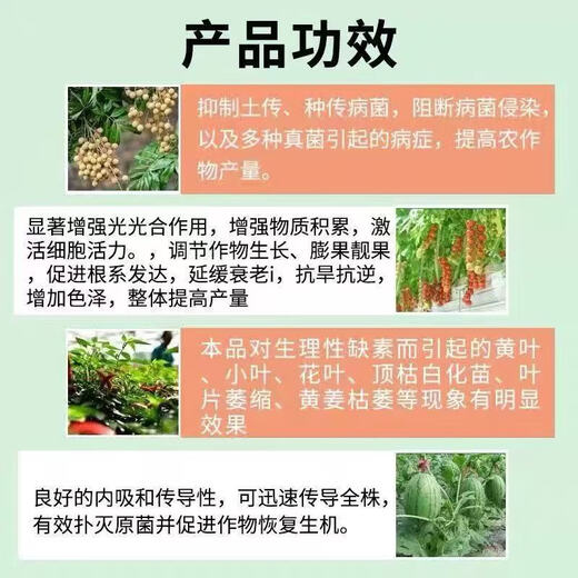 Soil bacteria clear agricultural genuine soil-borne diseases special rapid disinfection, sterilization and anti-repeat microbial fertilizer 3 bags to clear pathogenic bacteria and promote growth