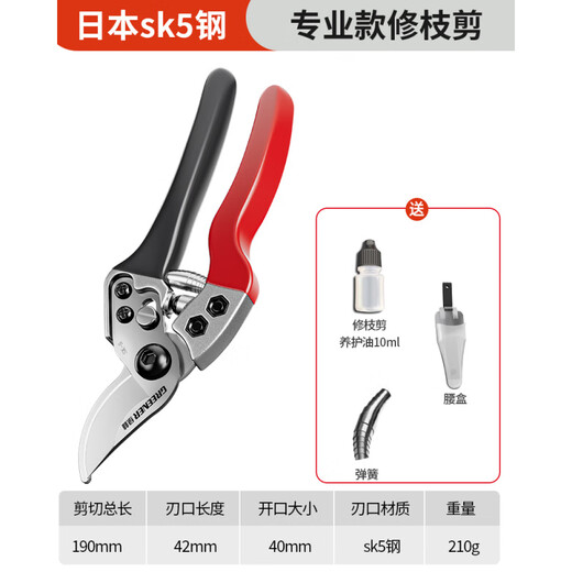 Green Forest Japan imported SK5 steel fruit tree gardening pruning shears, special scissors for cutting branches, flower shears, floral branch scissors, professional style SK5 steel + waist box_maintenance oil_elastic