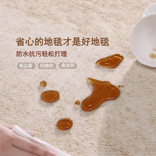Mu Ni 2026 new style Italian living room carpet light luxury high-grade no-wash wipeable minimalist bedroom home floor mat waterproof and anti-fouling Italian living room carpet 140*200cm