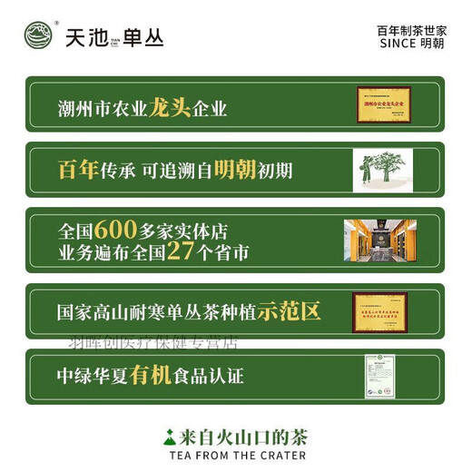 1392天池凤凰单丛茶正宗潮州单枞青山系列春茶罐装花香黄枝香125g 青山黄枝香125g