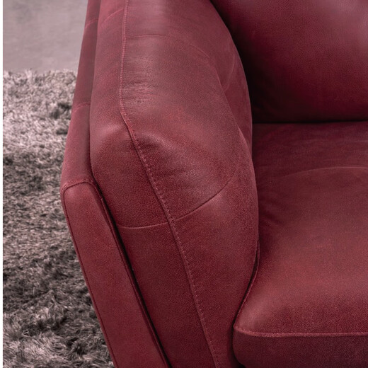
DOMICIL new style living room Nordic emoticon new style lying sofa Hongdou 12242