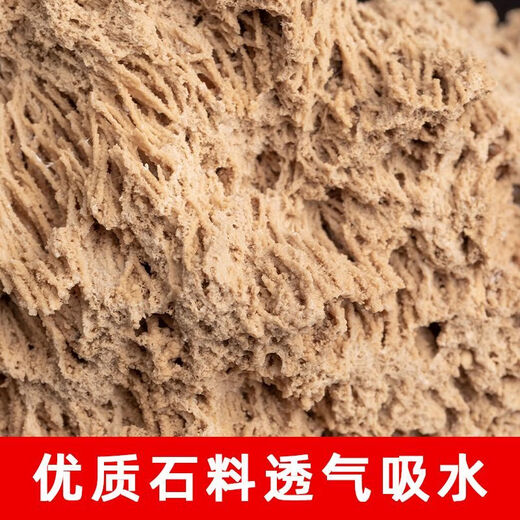 Absorbent stone flower pot, natural strange stone, absorbent stone, upper water stone, original stone, stone pot, calamus, succulent potted plant, bonsai micro landscape, absorbent stone, flower pot 13-17cm (no gifts)