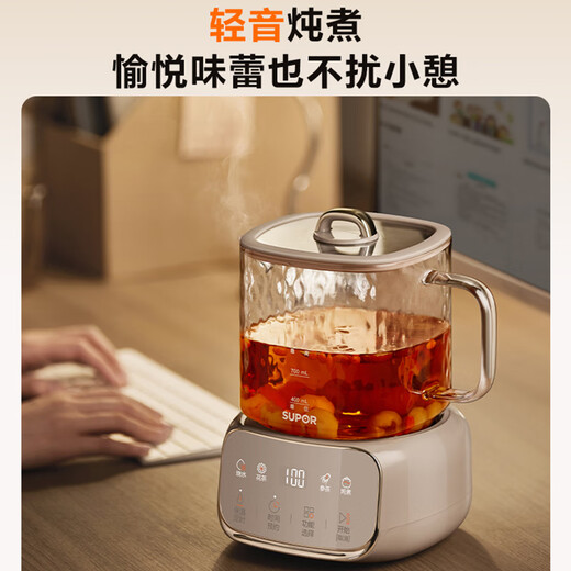 SUPOR all-glass health kettle, teapot 1L mini health cup, teapot, flower teapot, thermostatic kettle, maternal and infant grade, thermal insulation kettle 316L with filter SW-10Y08Q