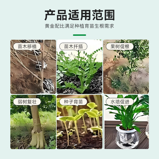 Guoguang Root Promoting Rapid Rooting Liquid Powder Seedlings Flower Cuttings Transplanting Indotenyl Acetic Acid Guoguang Genpan 200ml*20 Bottles