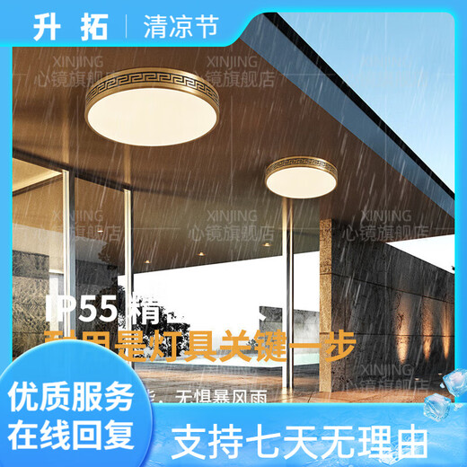 Heart mirror full copper ceiling light villa door light outdoor waterproof balcony light courtyard corridor corridor ultra-thin mosquito ceiling light X3891-600*800/rectangular