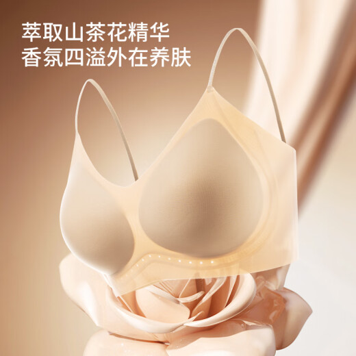 猫人（MiiOW）粉底液内衣夏季薄款女士内衣无钢圈胸女聚拢防下垂收副乳上托胸罩