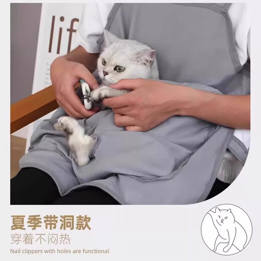 Amor's special clothes for cat care