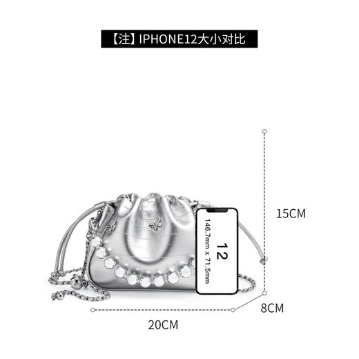 
Golden Fox (FOXER) 2025 new fashion luxury cloud bucket bag shoulder chain crossbody women's bag birthday gift for girlfriend silver