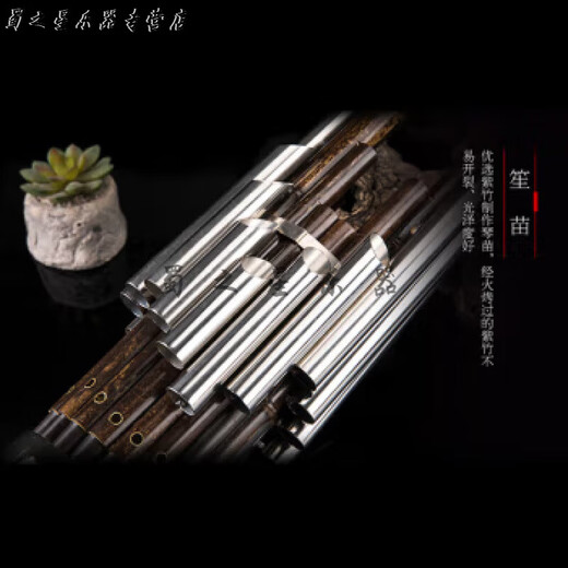 时笙笙乐器 紫竹圆笙17簧14簧扩音笙表演考级练习笙黄铜电镀笙管 芦笙全黑17簧笙(D调)