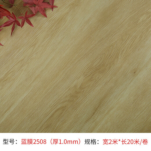 财发地毯地板革PVC塑胶地板胶出租屋活动板房水泥地直接铺工程商用地板革 蓝膜2601(宽2米*长20米整卷)
