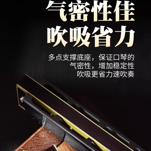 Guoguang harmonica 28-hole accent advanced performance German imported gong polyphonic C-tune beginner instrument 28-hole polyphonic silver + learning materials [with phonetic symbol