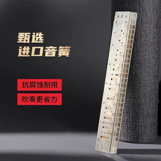 国光24孔复音口琴进口音簧波动音优美初学者入门成人高级专业演奏口琴 C调【常用调】+全套赠品