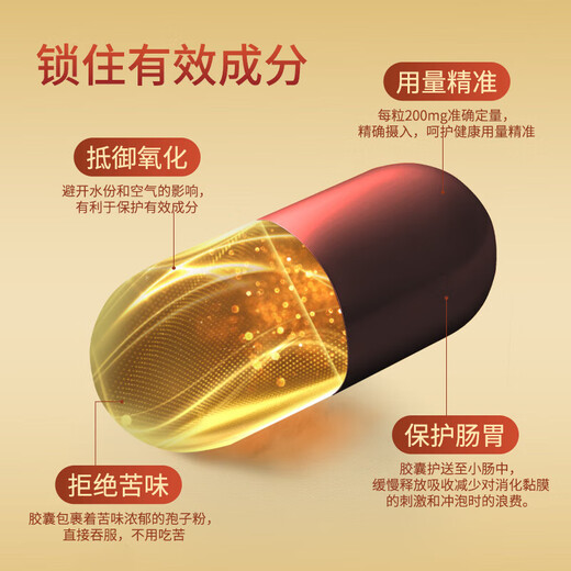 敖东破壁灵芝孢子粉胶囊【26年11月到期】 增强免疫力中老年人营养品 【稳定期】孢子粉灵芝胶囊 *10盒装