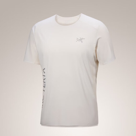 Arc'teryx Logo de Norvan Downword pour hommes