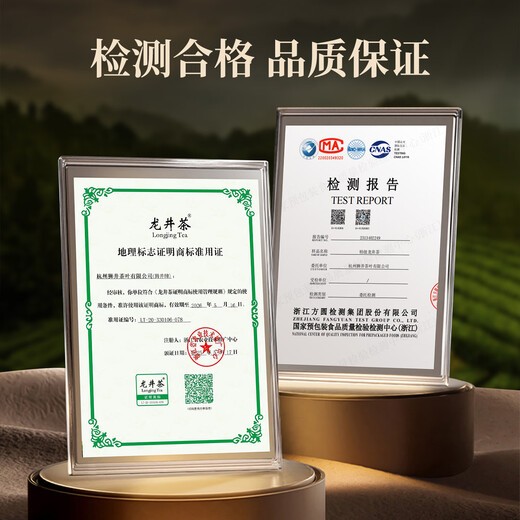 West Lake Shijing Mingqian Special Longjing 2025 Neue Teenbox 250g Grüne Tee High-End Festival Geschenk für Älteste