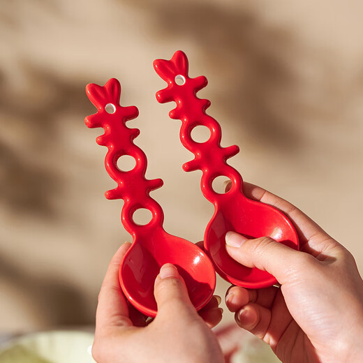 DearDali wedding gift tableware set for best friends, bride and groom, engagement dowry, practical items, high-end tableware, mixed color bowls, cups and plates for two, DIY gift box (fast delivery next day) 10-piece set