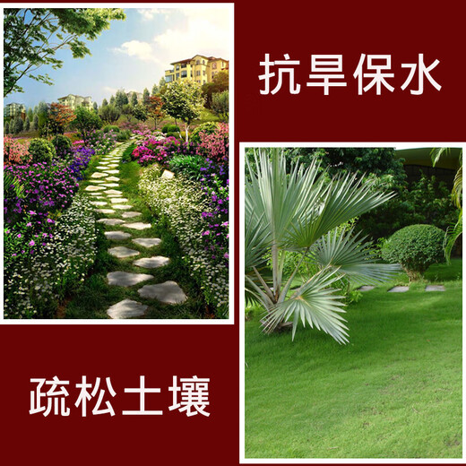 土壤调理剂修复土壤板结地通用型肥改良保水保肥抗寒抗旱土质疏松 土壤调理剂3斤