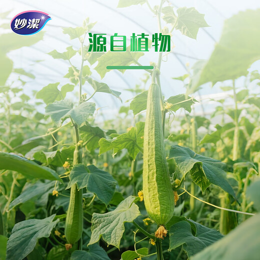 Miaojie Oil Loofah, Oil-removing and Easy-to-Wash Cleaning Cloth, Loofah Cloth for Cleaning Dishes and Pans, 2 packs of 6 pieces