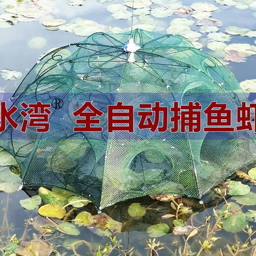 Tianlong pattern ground net lobster net fish shrimp net cage fish net cage can not come out only fishing net fishing eel cage loach ground net fish net 12 imported (free 30 packs of bait + rope + bait bag + floating ring