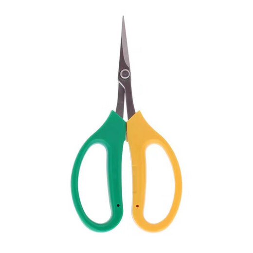 Nufeng Grape Special Scissors Stainless Steel Upturned Head Gardening Scissors Vegetables and Fruits Thin Fruit Pruning Flower Branches Pepper Picking Fruit Orange Picking 3 Upturned Head Grape Scissors