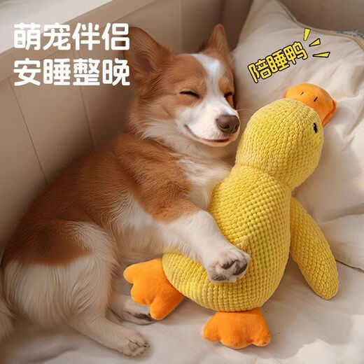 Pet toy plush sleep companion duck, resistant to teeth grinding, making sounds to relieve boredom, cat pet toy charging duck, vocal companion duck (resistant to biting and tearing) large size (38*16*13) cm