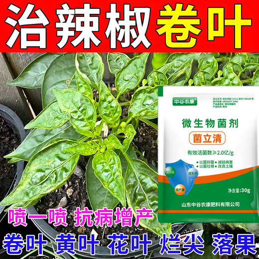 Zhonggu Nongkang (ZGNK) pepper special fungicide, agricultural disinfection and sterilization virus, anthrax disease, rolled leaf dead seedlings, rotten roots and rot fungicides, pepper pathogen cleaner 8 bags, the first choice for large growers