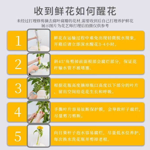 Rose Flower Shop's same flower Kunming base direct birthday fresh-cut bouquet vase Chinese Valentine's Day gift 8+2 pink roses (loss prevention, no after-sales service)