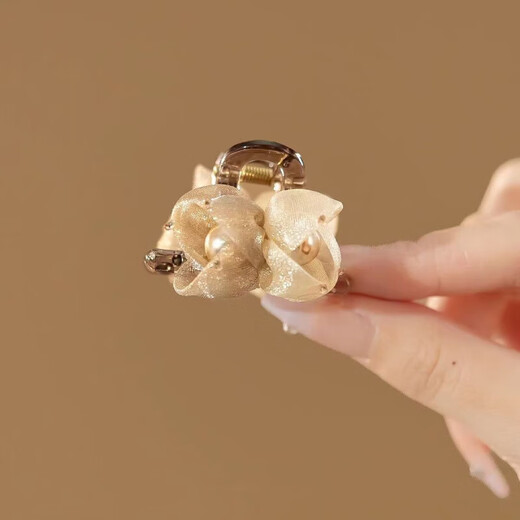 Grappling clip hairpin women's ponytail clip large hairpin ball hair accessories hair twister Korean style duckbill clip for the back of the head 1 coffee gold small gripping clip 4.5 cm