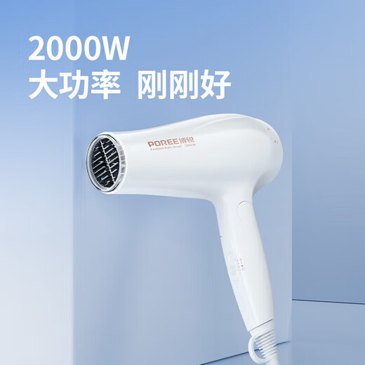 FLYCO hair dryer household hair dryer portable high-power quick-drying hair dryer constant temperature hair care does not damage hair in strong winds FLYCO Borui 2000W high power PH1626