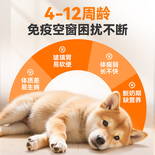 Pointe dog puppy goat milk powder imported milk source pet instant anti-diarrhea 0 lactose supplement nutritional lactoferrin