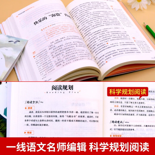 汤姆索亚历险记 原著正版六年级完整版小学版必读课外书人民6年级青少年初中生课外阅读书籍文学开明出版社 829页红楼梦送考点手册