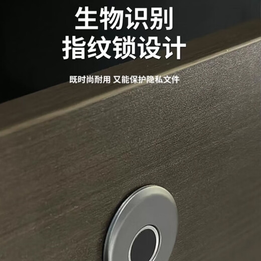 ZHONGWEI Boss Desk Simple Modern President Desk Desk Work Table Leader Light Luxurious Desk 2 Meters Single Cabinet