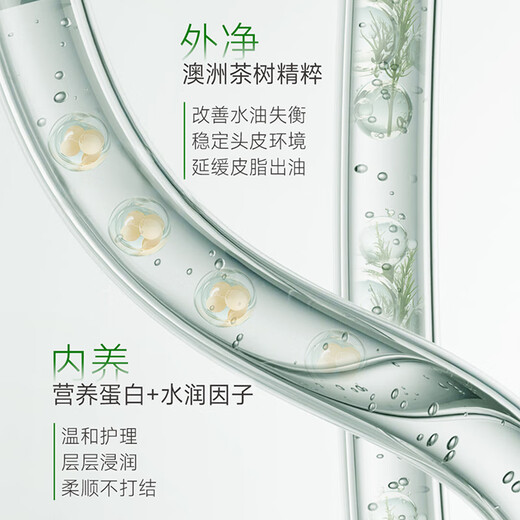 
FicceCode Tea Tree Shampoo 300ml Oil Control and Oil Removal Shampoo Long-lasting Soft Shampoo Imported in Australia