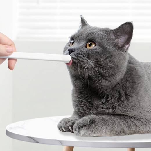 Jingdong Express Pet Brush Teeth Oral Interdental Brush 1000-Bristled Brush Finger Cot Dog Cat Small Head Soft Hair White 100-Bristled Brush 1 + Finger Cot Brushes 4 Default