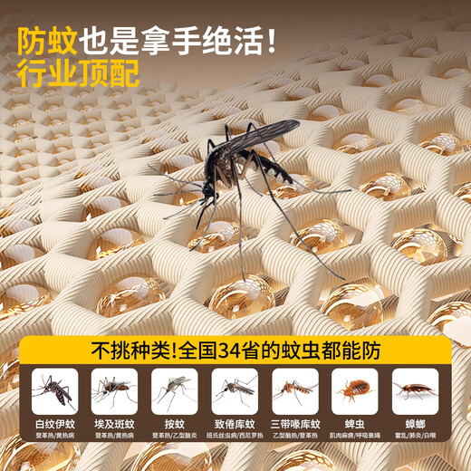 Langsha student dormitory mosquito net 0.9