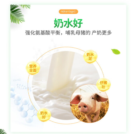 Changxiao New Hope Liuhe 8% Lactating Sow Compound Premixed Feed GY887 8% Lactating Sow Feed (20kg)