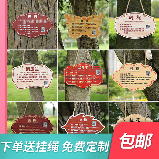 Blumen, Gras, Acryl-Baumschilder, Pflanzenbegrünungsschilder, Baumeinführungsschilder, Schulfeiern zum Arbor Day, private Fotos und Rohlinge