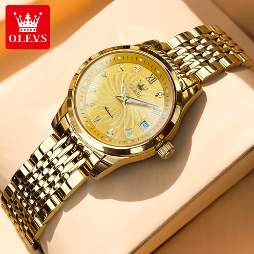 Amani Swiss Certified Brand Watch Frauen leuchtend wasserdichte vollautomatische mechanische Uhr Einfache Temperament Leichte Luxus Uhr Stahlgürtel-6630-Zimmer-Gold-Weiß-Oberfläche