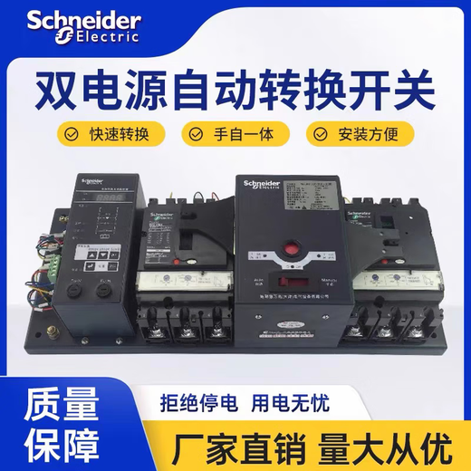Schneider Wangao WATSNB dual power automatic transfer switch 100A/4P/32A/63A/250/630A 16A 3P