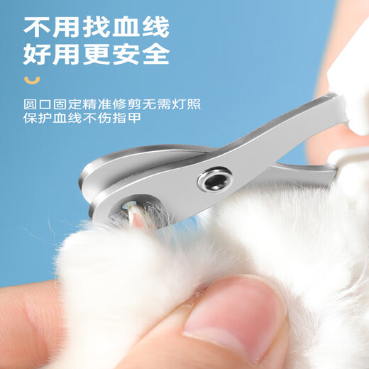 Bei Chuzhong Cat Nail Clippers Pet Dog Nail Clippers Cat Supplies Kitten Special Trimmer Nail Cutting Artifact Non-Porous Model Universal Stainless Steel Blue and White for Cats and Dogs No Splits 0 Cuts Precise Trimming to Prevent Cuts