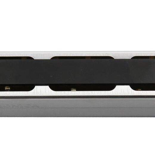 Tongbao Tongbao store entry-level performance teaching model 24-hole polyphonic harmonica 6624 set 8-tuning set CDEFGAB+#C-included YENGBOGE