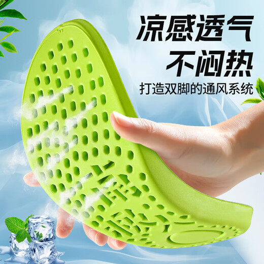 Antarctic 2 pairs of tea-scented deodorizing sports insoles, breathable, sweat-absorbing, shock-absorbing, soft-elastic running insoles, special military training station for long-term weariness 41-42