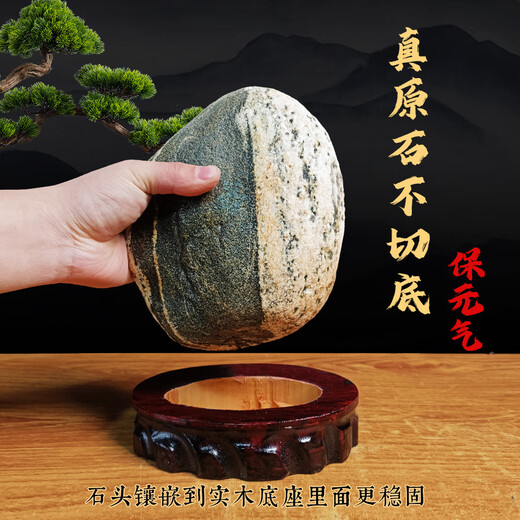 TURBOSUN Taishan Fengshui Stone Black fidelity Taishan stone does not cut Taishan stone to be used as indoor and outdoor original stone creative jewelry Y6296 Huge fortune golden cicada